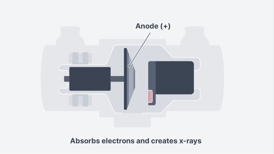 Tube and Components